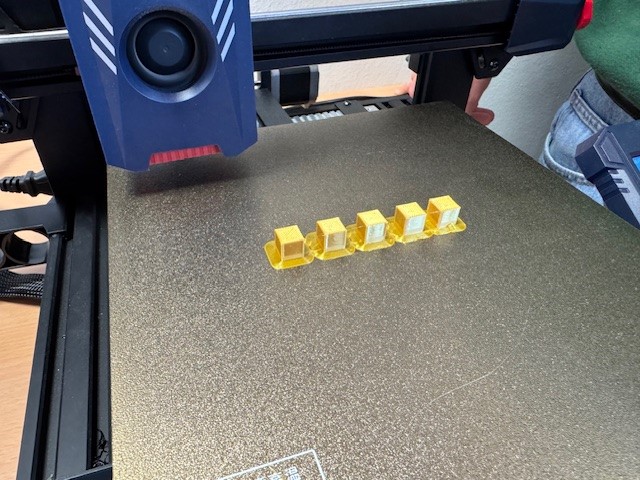 Ein Blick in die Zukunft – Die dritte Klasse entdeckt den 3D-Druck