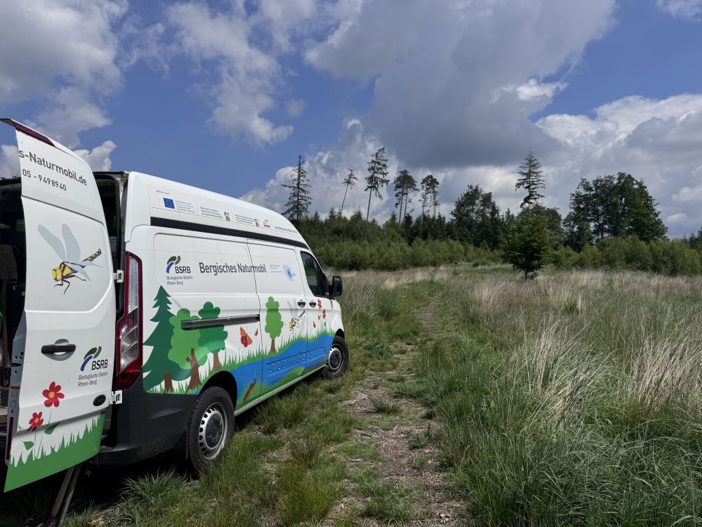 Mit dem Naturmobil auf Entdeckungstour im Wald